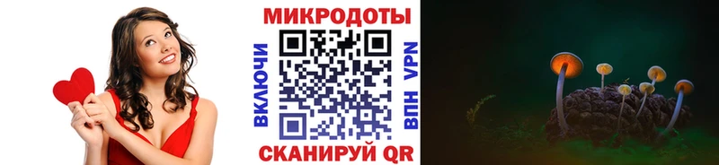 Псилоцибиновые грибы ЛСД  продажа наркотиков  ссылка на мегу вход  Петрозаводск 